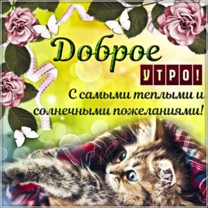 Пожелание доброго утра открытки