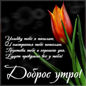 Утром улыбку посылаю