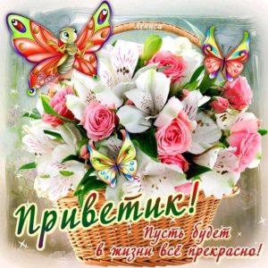 Открытки Приветом бесплатно
