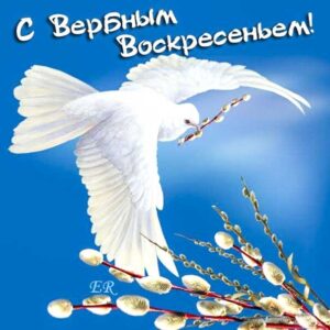 С вербным воскресеньем поздравить