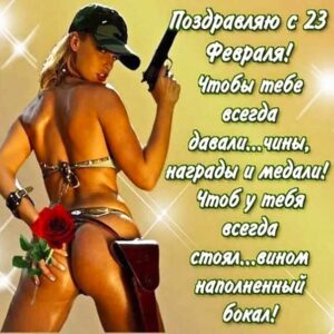 23 февраля прикольная картинка