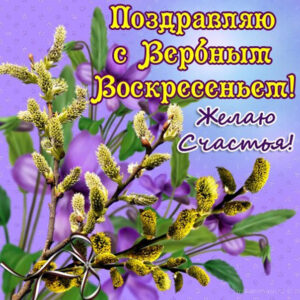 Отправить открытки вербное воскресенье
