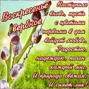 Красивые открытки вербное воскресенье