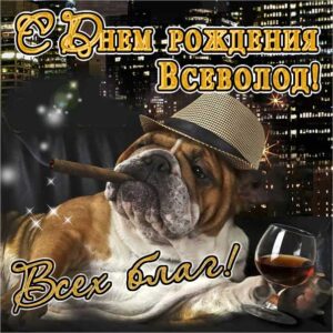 Всеволод гиф картинки день рождения
