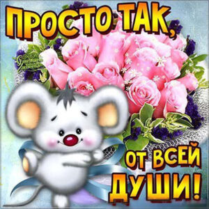 Открытки просто так веселая