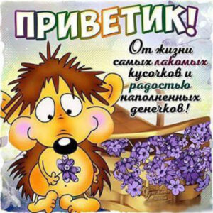 Бесплатные открытки Привет