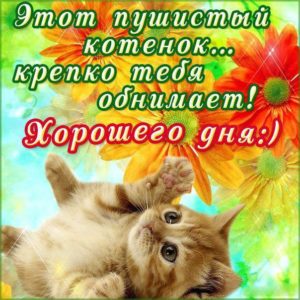 Лучшие открытки хорошего дня