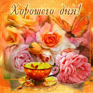 Гифки картинки отличного дня