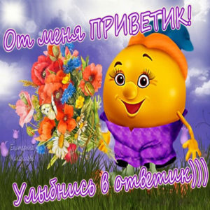 Смешные открытки Привет