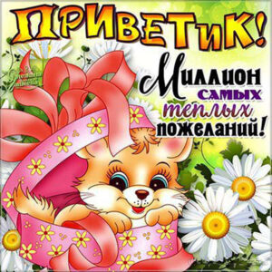 Открытки привет милая