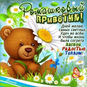 Пожелания открытки Привет