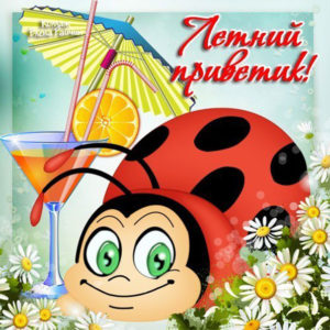 Веселые открытки Привет