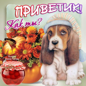 Открытки Привет парню