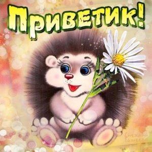 Открытки привет просто так
