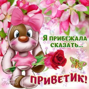 Открытка с Приветом мужчине