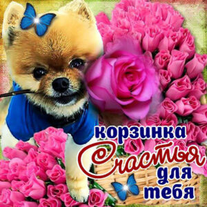 Для тебя анимация подарки