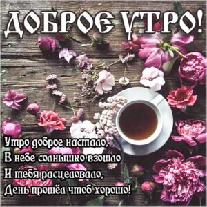 Желаю теплого утра и позитива
