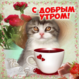 Девушке открытка с добрым Утром
