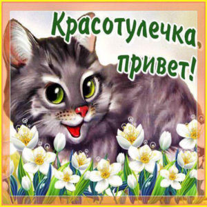 Открытки подруженьке просто так