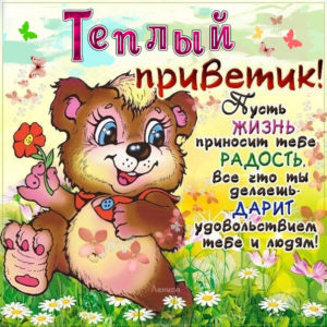 Открытка теплый привет