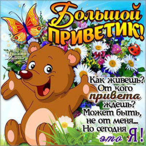 Привет моя радость анимация