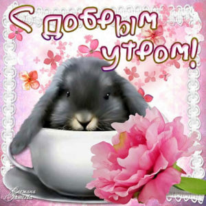 Чувственные открытки доброе утро