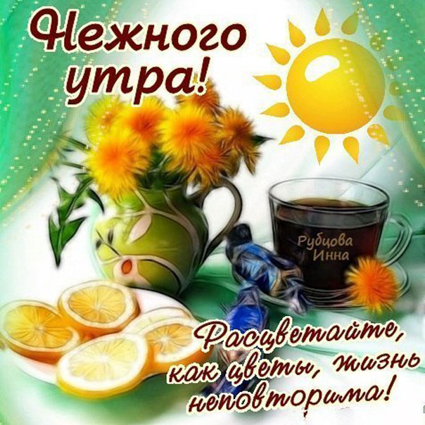 Нежное утро