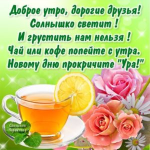 Открытки цветы доброе утро