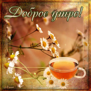 Хорошее настроение с добрым утром