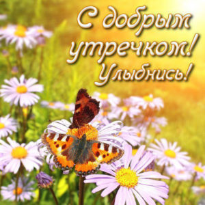 Живые блестяшки gif картинки утро