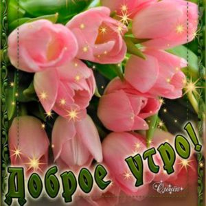 Открытки пожелание нежного утра