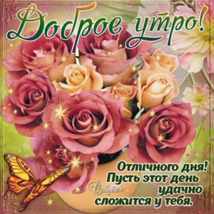 Яркого утра анимация картинки