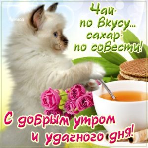 Позитивные открытки с добрым Утром