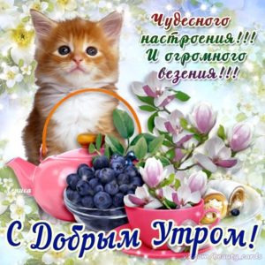 Доброе утро Любимая картинки