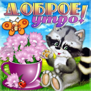 Веселые открытки хорошее настроение утро