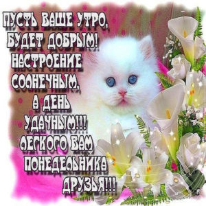 Добрая открытка плейкаст хорошего утра