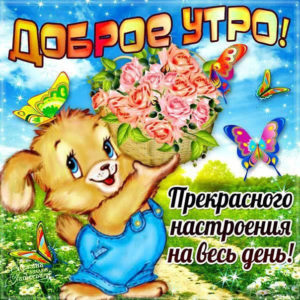 Мобильные открытки доброе утро