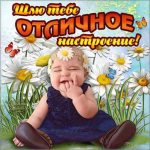Юморные открытки для хорошего настроения