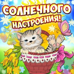 Лучшие позитивные открытки