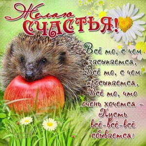 Позитивные и теплые открытки настроение