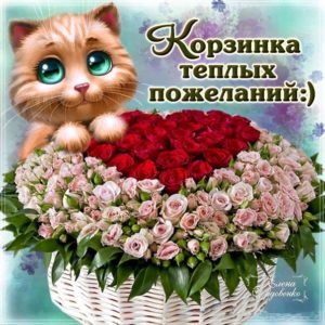 Прекрасные красочные открытки анимация