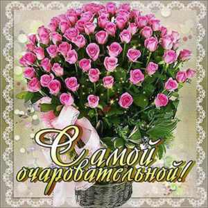 Открытка розы плейкаст