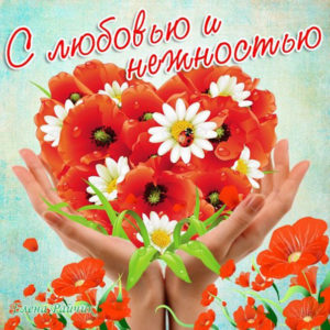Картинки настроения красивые цветы