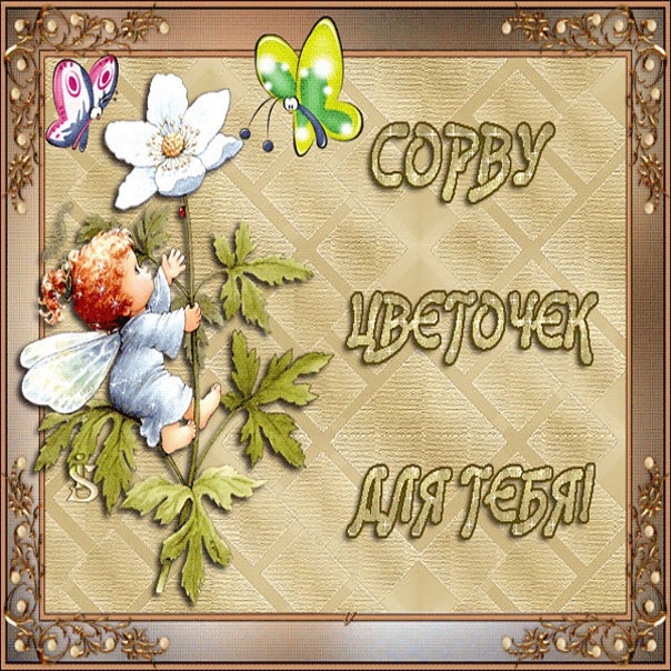 Цветок для девушки